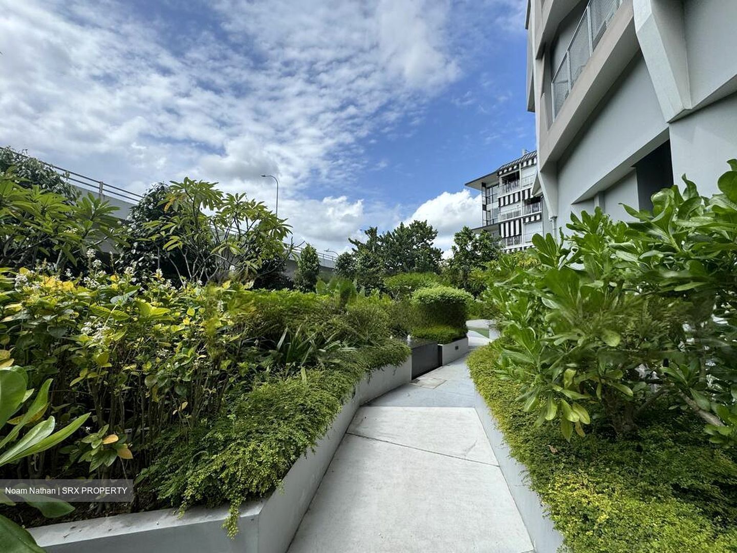 Harbour View Gardens (D5), Apartment #457891881